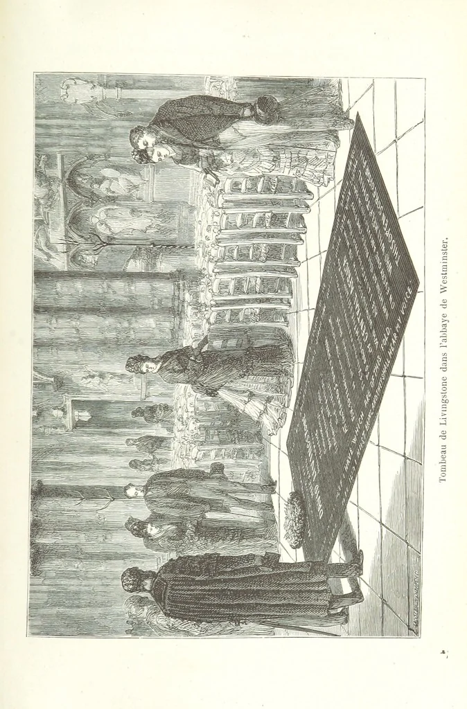 An illustration from Dernier Journal du docteur David Livingstone relatant des explorations et découvertes de 1866 à 1873, suivi du récit de ses derniers moments rédigé d'après le rapport de ... Chouma et Souzi par H. Waller. ... Ouvrage traduit de l'anglais ... par Mme. H. Loreau et contenant 60 gravures et 4 cartes, 1876, leaf 833