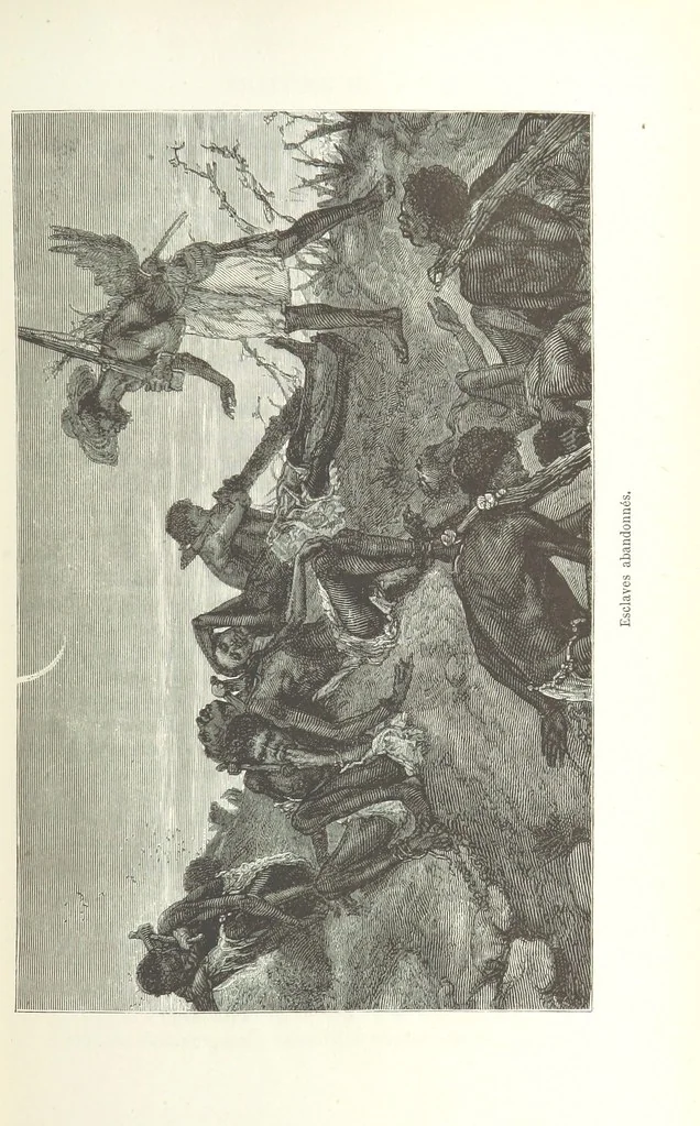 An illustration from Dernier Journal du docteur David Livingstone relatant des explorations et découvertes de 1866 à 1873, suivi du récit de ses derniers moments rédigé d'après le rapport de ... Chouma et Souzi par H. Waller. ... Ouvrage traduit de l'anglais ... par Mme. H. Loreau et contenant 60 gravures et 4 cartes, 1876, leaf 91