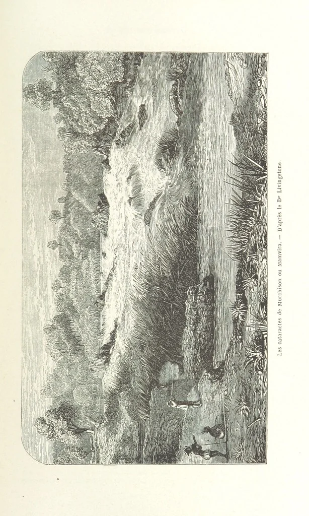 An illustration from Explorations du Zambèse et de ses affluents ... Ouvrage traduit de l'Anglais ... par Mme H. Loreau, contenant 47 gravures et 4 cartes, 1866, leaf 109