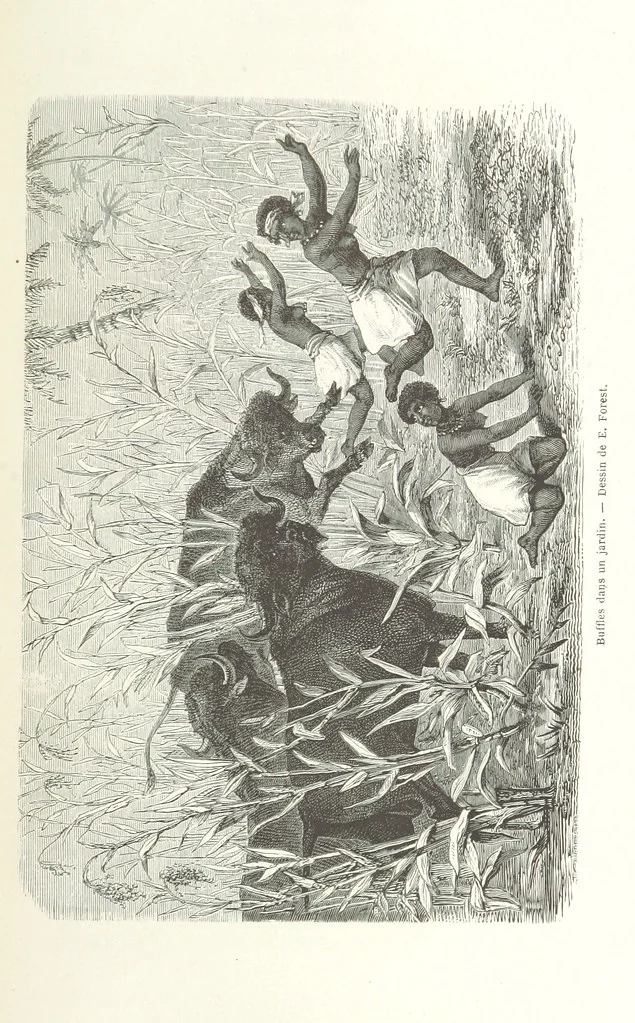 An illustration from Explorations du Zambèse et de ses affluents ... Ouvrage traduit de l'Anglais ... par Mme H. Loreau, contenant 47 gravures et 4 cartes, 1866, leaf 123