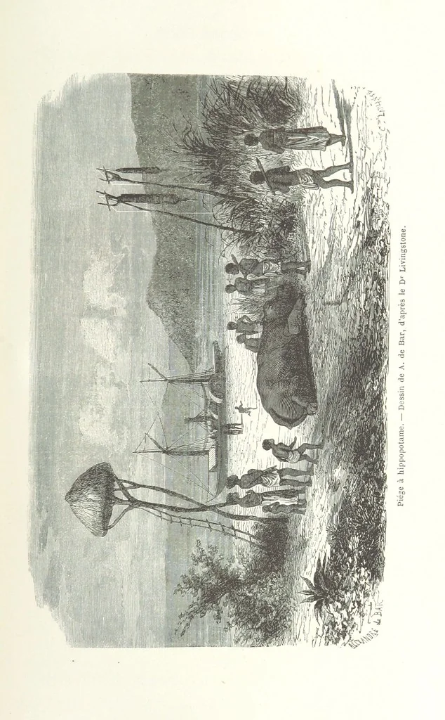 An illustration from Explorations du Zambèse et de ses affluents ... Ouvrage traduit de l'Anglais ... par Mme H. Loreau, contenant 47 gravures et 4 cartes, 1866, leaf 129