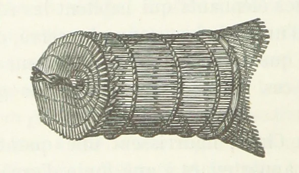 An illustration from Explorations du Zambèse et de ses affluents ... Ouvrage traduit de l'Anglais ... par Mme H. Loreau, contenant 47 gravures et 4 cartes, 1866, leaf 134