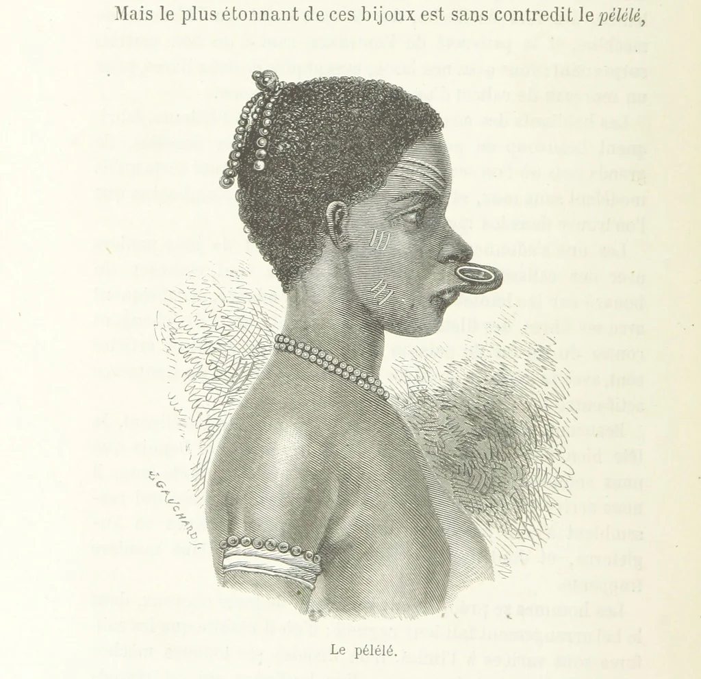 An illustration from Explorations du Zambèse et de ses affluents ... Ouvrage traduit de l'Anglais ... par Mme H. Loreau, contenant 47 gravures et 4 cartes, 1866, leaf 150