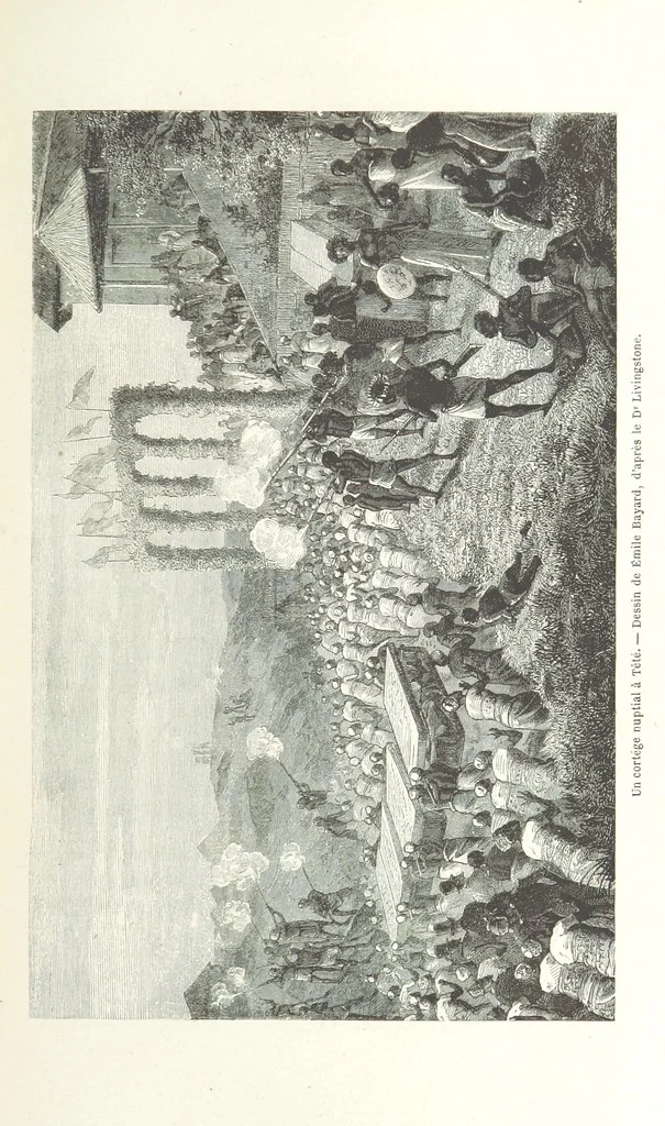 An illustration from Explorations du Zambèse et de ses affluents ... Ouvrage traduit de l'Anglais ... par Mme H. Loreau, contenant 47 gravures et 4 cartes, 1866, leaf 179