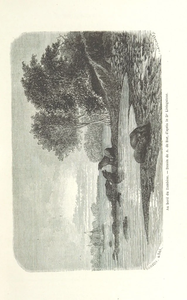 An illustration from Explorations du Zambèse et de ses affluents ... Ouvrage traduit de l'Anglais ... par Mme H. Loreau, contenant 47 gravures et 4 cartes, 1866, leaf 29