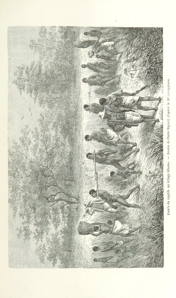 An illustration from Explorations du Zambèse et de ses affluents ... Ouvrage traduit de l'Anglais ... par Mme H. Loreau, contenant 47 gravures et 4 cartes, 1866, leaf 293
