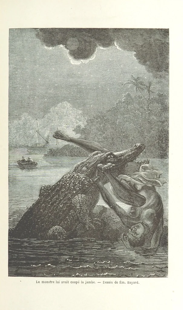An illustration from Explorations du Zambèse et de ses affluents ... Ouvrage traduit de l'Anglais ... par Mme H. Loreau, contenant 47 gravures et 4 cartes, 1866, leaf 361