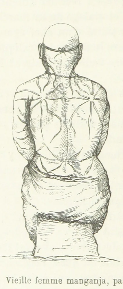An illustration from Explorations du Zambèse et de ses affluents ... Ouvrage traduit de l'Anglais ... par Mme H. Loreau, contenant 47 gravures et 4 cartes, 1866, leaf 428