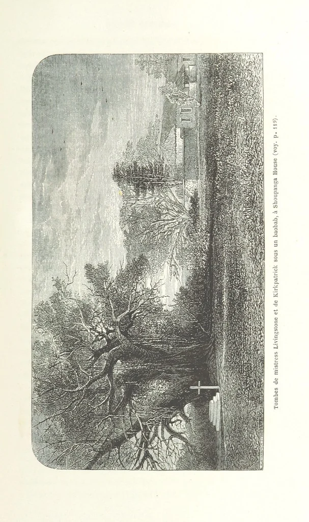 An illustration from Explorations du Zambèse et de ses affluents ... Ouvrage traduit de l'Anglais ... par Mme H. Loreau, contenant 47 gravures et 4 cartes, 1866, leaf 447