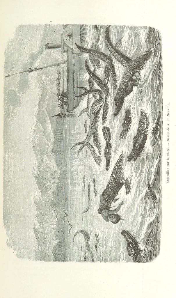 An illustration from Explorations du Zambèse et de ses affluents ... Ouvrage traduit de l'Anglais ... par Mme H. Loreau, contenant 47 gravures et 4 cartes, 1866, leaf 483