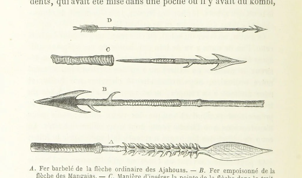 An illustration from Explorations du Zambèse et de ses affluents ... Ouvrage traduit de l'Anglais ... par Mme H. Loreau, contenant 47 gravures et 4 cartes, 1866, leaf 498