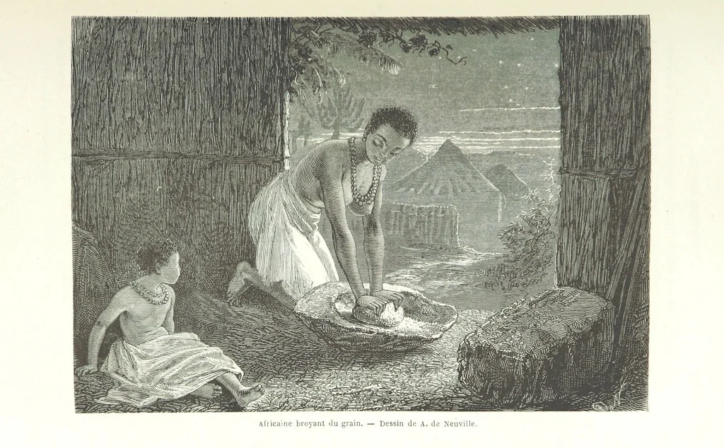 An illustration from Explorations du Zambèse et de ses affluents ... Ouvrage traduit de l'Anglais ... par Mme H. Loreau, contenant 47 gravures et 4 cartes, 1866, leaf 567