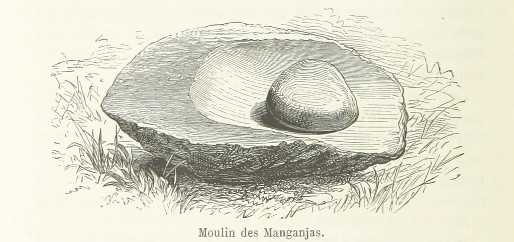An illustration from Explorations du Zambèse et de ses affluents ... Ouvrage traduit de l'Anglais ... par Mme H. Loreau, contenant 47 gravures et 4 cartes, 1866, leaf 570