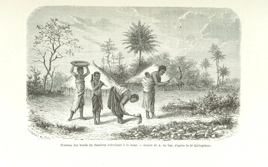 An illustration from Explorations du Zambèse et de ses affluents ... Ouvrage traduit de l'Anglais ... par Mme H. Loreau, contenant 47 gravures et 4 cartes, 1866, leaf 573