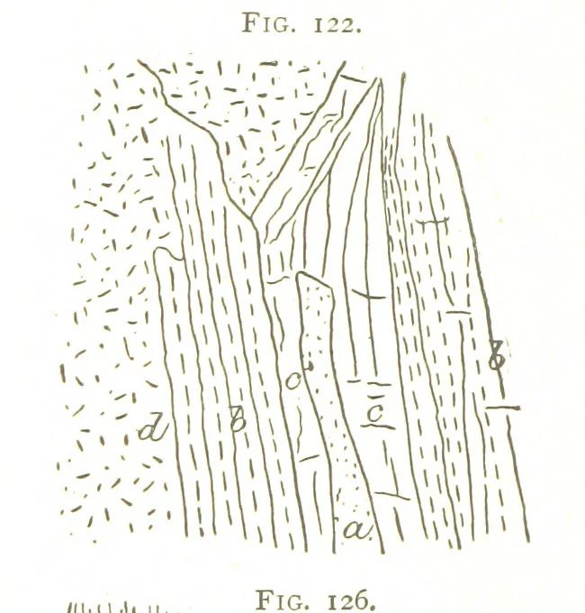 An illustration from Gold: its occurrence and extraction. Embracing the geographical and geological distribution ... of gold-bearing rocks; ... a bibliography of the subject; and a glossary of English and foreign technical terms ... With ... maps, etc, 1882, leaf 1052