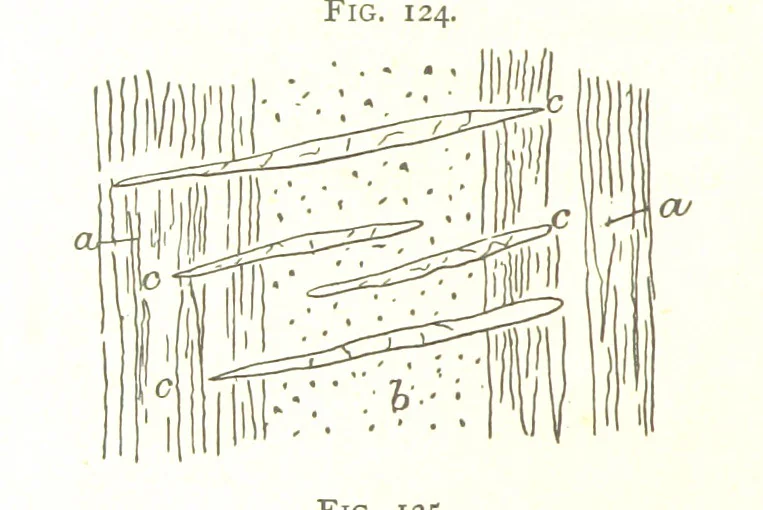 An illustration from Gold: its occurrence and extraction. Embracing the geographical and geological distribution ... of gold-bearing rocks; ... a bibliography of the subject; and a glossary of English and foreign technical terms ... With ... maps, etc, 1882, leaf 1052