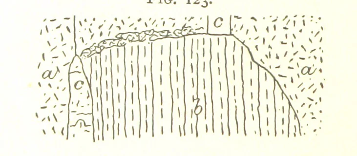 An illustration from Gold: its occurrence and extraction. Embracing the geographical and geological distribution ... of gold-bearing rocks; ... a bibliography of the subject; and a glossary of English and foreign technical terms ... With ... maps, etc, 1882, leaf 1052