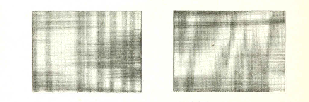 An illustration from Gold: its occurrence and extraction. Embracing the geographical and geological distribution ... of gold-bearing rocks; ... a bibliography of the subject; and a glossary of English and foreign technical terms ... With ... maps, etc, 1882, leaf 1062