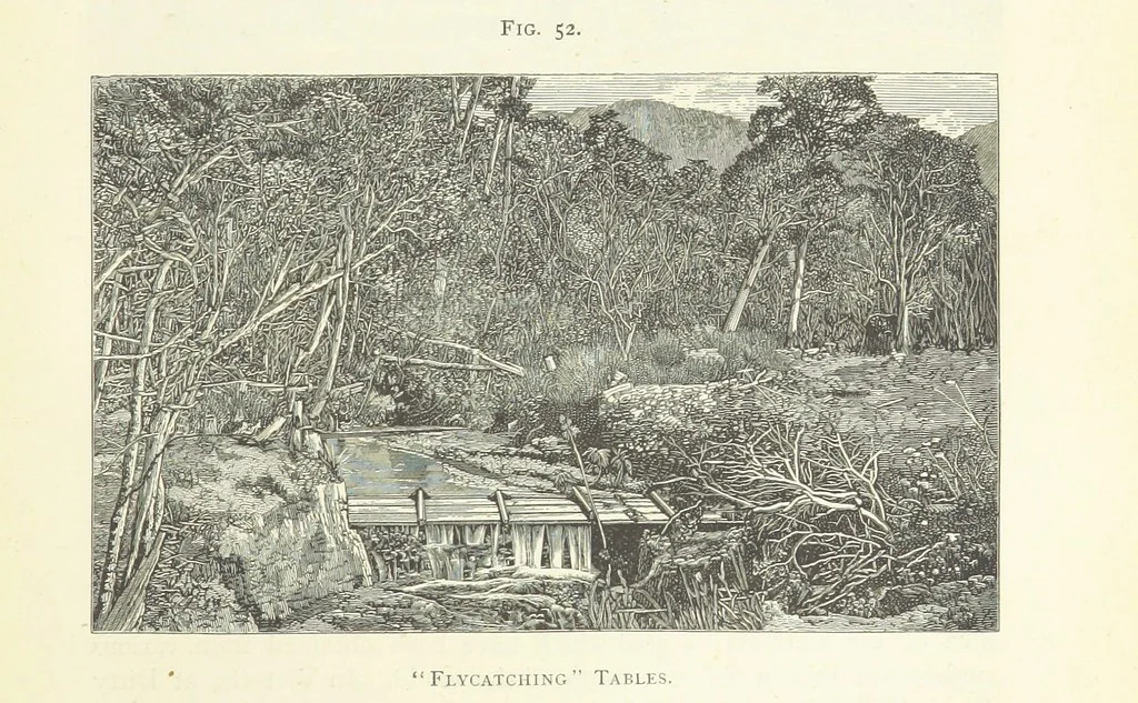 An illustration from Gold: its occurrence and extraction. Embracing the geographical and geological distribution ... of gold-bearing rocks; ... a bibliography of the subject; and a glossary of English and foreign technical terms ... With ... maps, etc, 1882, leaf 959