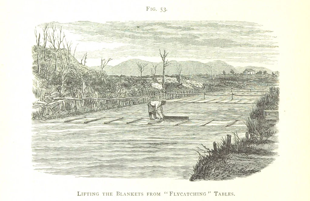 An illustration from Gold: its occurrence and extraction. Embracing the geographical and geological distribution ... of gold-bearing rocks; ... a bibliography of the subject; and a glossary of English and foreign technical terms ... With ... maps, etc, 1882, leaf 960