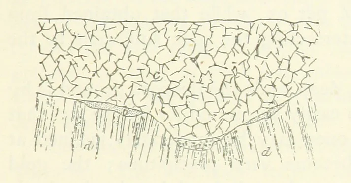An illustration from Gold: its occurrence and extraction. Embracing the geographical and geological distribution ... of gold-bearing rocks; ... a bibliography of the subject; and a glossary of English and foreign technical terms ... With ... maps, etc, 1882, leaf 985