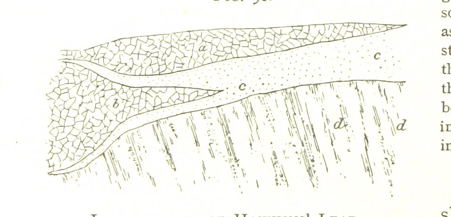 An illustration from Gold: its occurrence and extraction. Embracing the geographical and geological distribution ... of gold-bearing rocks; ... a bibliography of the subject; and a glossary of English and foreign technical terms ... With ... maps, etc, 1882, leaf 992