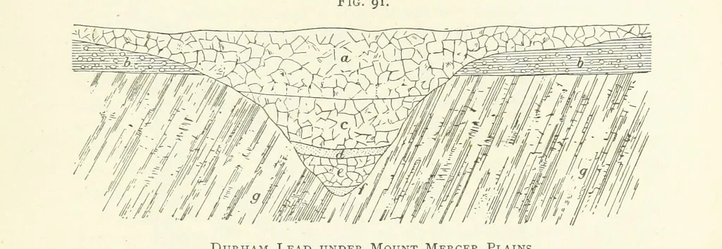 An illustration from Gold: its occurrence and extraction. Embracing the geographical and geological distribution ... of gold-bearing rocks; ... a bibliography of the subject; and a glossary of English and foreign technical terms ... With ... maps, etc, 1882, leaf 993