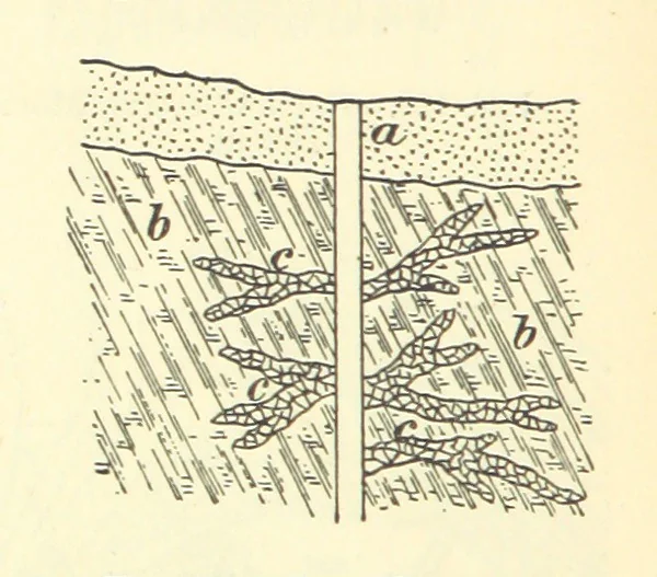 An illustration from Economic Mining. A practical handbook for the miner, the metallurgist, and the merchant, 1895, leaf 492
