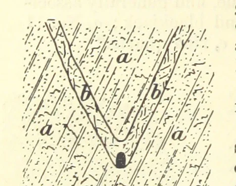An illustration from Economic Mining. A practical handbook for the miner, the metallurgist, and the merchant, 1895, leaf 494
