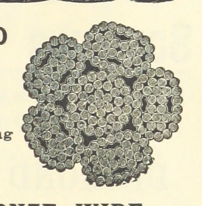 An illustration from Economic Mining. A practical handbook for the miner, the metallurgist, and the merchant, 1895, leaf 701
