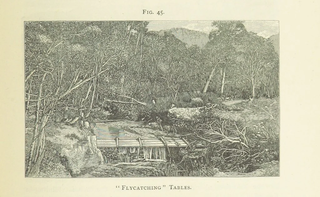 An illustration from Practical Gold-Mining: a comprehensive treatise on ... gold-bearing gravels, rocks and ores, and the methods by which the gold is extracted ... With ... plates, etc. [With a bibliography, 1889, leaf 271