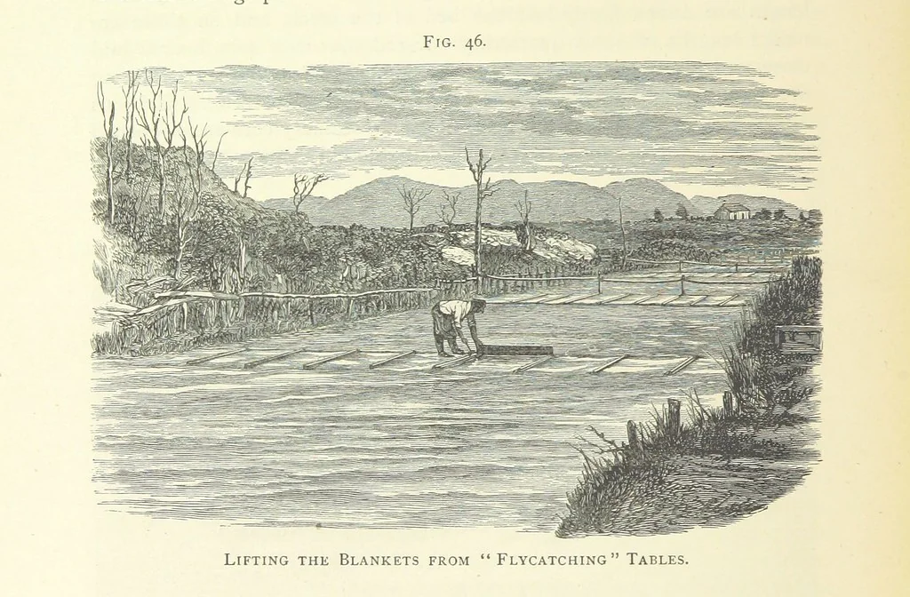 An illustration from Practical Gold-Mining: a comprehensive treatise on ... gold-bearing gravels, rocks and ores, and the methods by which the gold is extracted ... With ... plates, etc. [With a bibliography, 1889, leaf 272