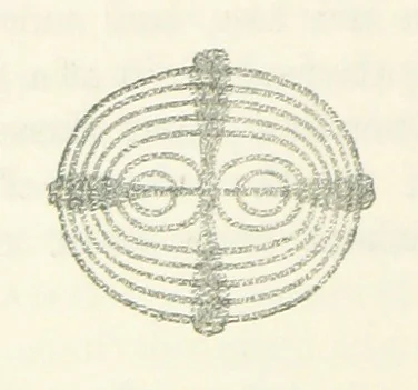 An illustration from A Guide to the Mineral Gallery ... With an Introduction to the study of Minerals. [By L. Fletcher, 1888, leaf 48