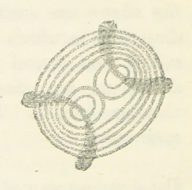 An illustration from A Guide to the Mineral Gallery ... With an Introduction to the study of Minerals. [By L. Fletcher, 1888, leaf 48