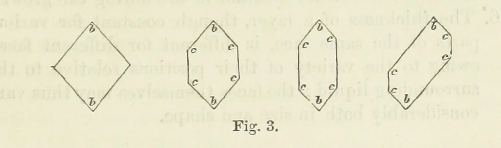 An illustration from A Guide to the Mineral Gallery ... With an Introduction to the study of Minerals. [By L. Fletcher, 1889, leaf 25