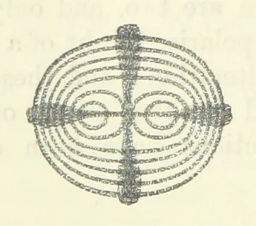 An illustration from A Guide to the Mineral Gallery ... With an Introduction to the study of Minerals. [By L. Fletcher, 1889, leaf 48