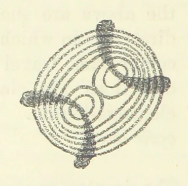 An illustration from A Guide to the Mineral Gallery ... With an Introduction to the study of Minerals. [By L. Fletcher, 1889, leaf 48