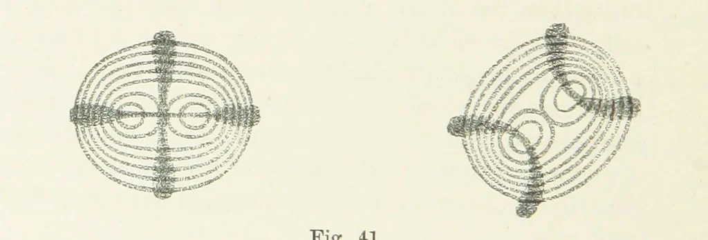 An illustration from An Introduction to the Study of Minerals. With a guide to the Mineral Gallery. By L. Fletcher, 1897, leaf 48