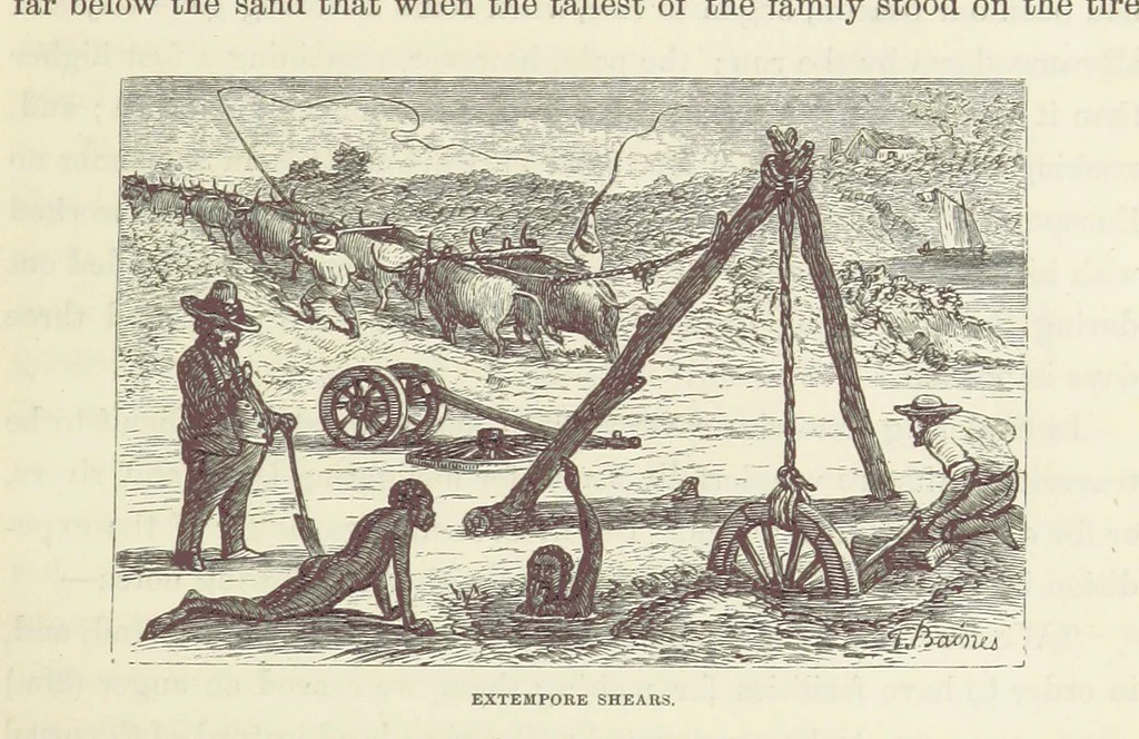 An illustration from Shifts and Expedients of Camp Life, Travels, etc, 1871, leaf 165