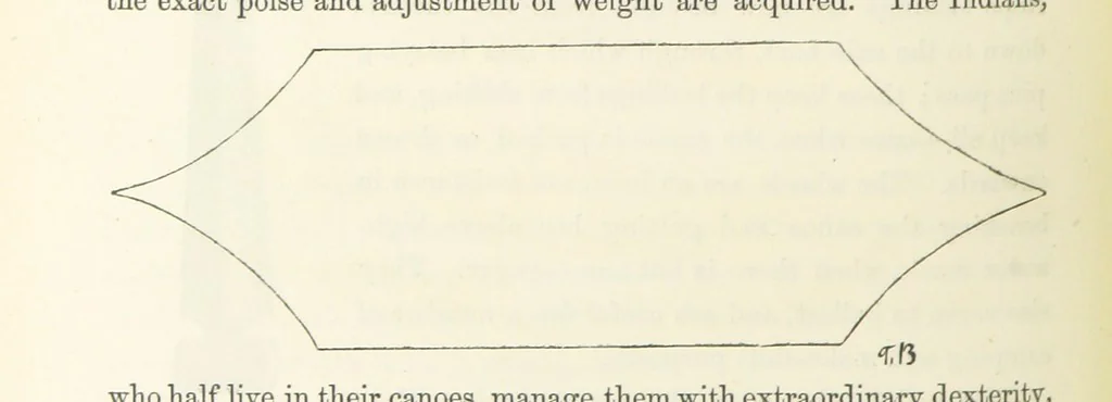 An illustration from Shifts and Expedients of Camp Life, Travels, etc, 1871, leaf 180