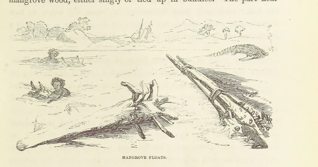 An illustration from Shifts and Expedients of Camp Life, Travels, etc, 1871, leaf 183