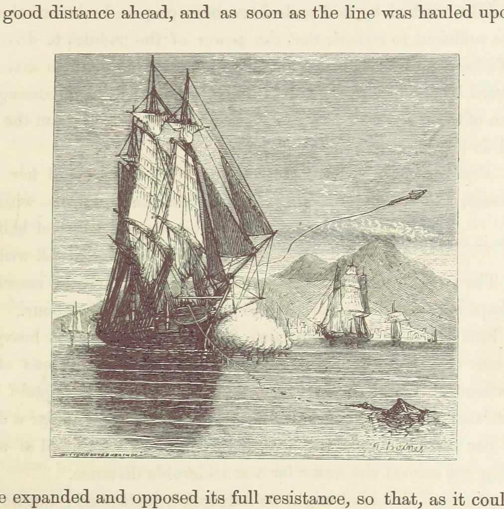 An illustration from Shifts and Expedients of Camp Life, Travels, etc, 1871, leaf 195