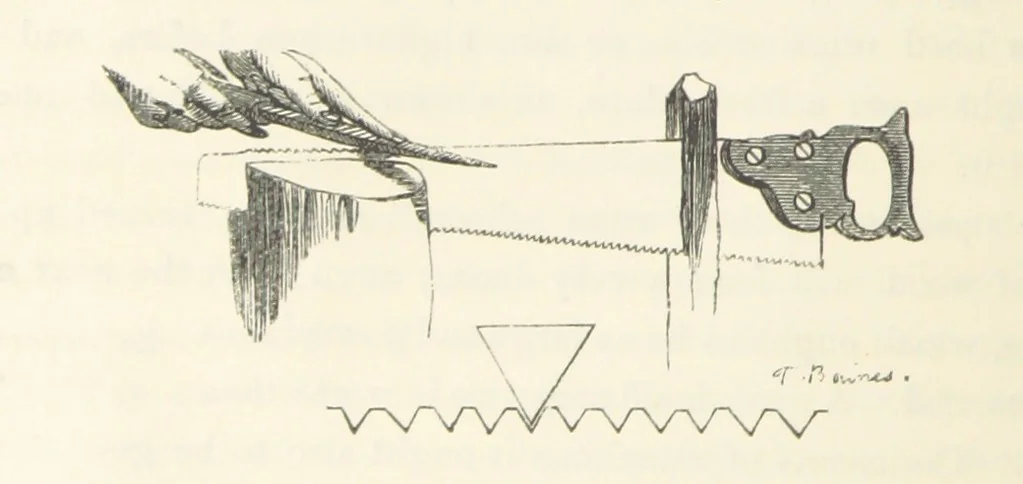 An illustration from Shifts and Expedients of Camp Life, Travels, etc, 1871, leaf 220