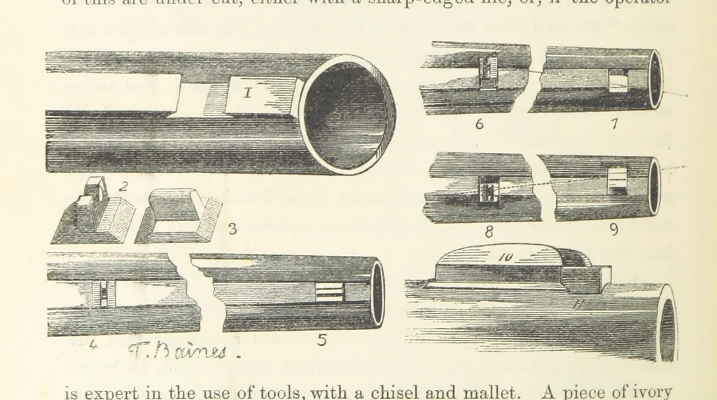 An illustration from Shifts and Expedients of Camp Life, Travels, etc, 1871, leaf 222