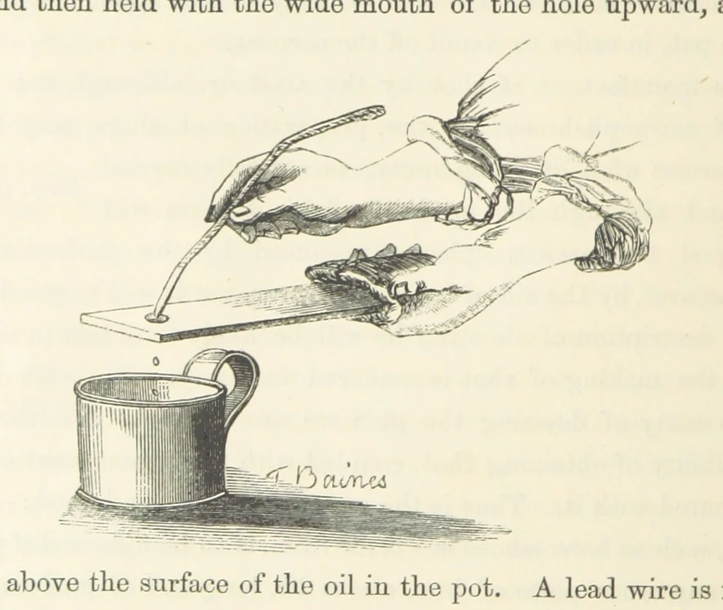 An illustration from Shifts and Expedients of Camp Life, Travels, etc, 1871, leaf 246