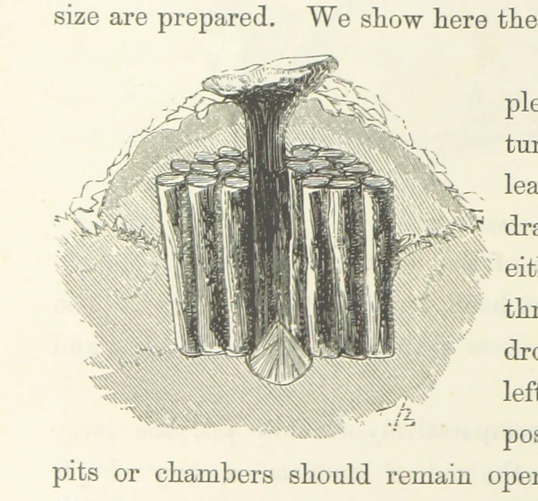 An illustration from Shifts and Expedients of Camp Life, Travels, etc, 1871, leaf 292
