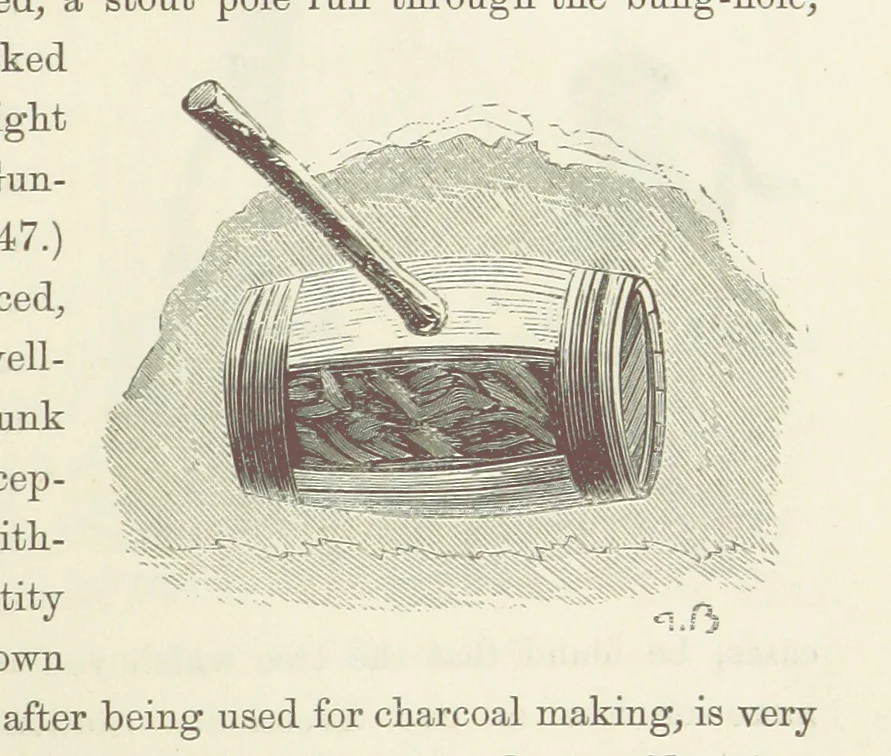 An illustration from Shifts and Expedients of Camp Life, Travels, etc, 1871, leaf 293