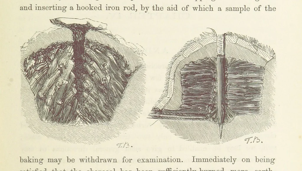 An illustration from Shifts and Expedients of Camp Life, Travels, etc, 1871, leaf 293