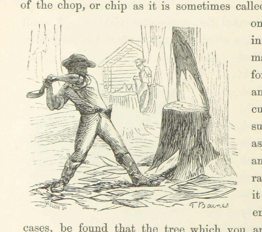 An illustration from Shifts and Expedients of Camp Life, Travels, etc, 1871, leaf 294