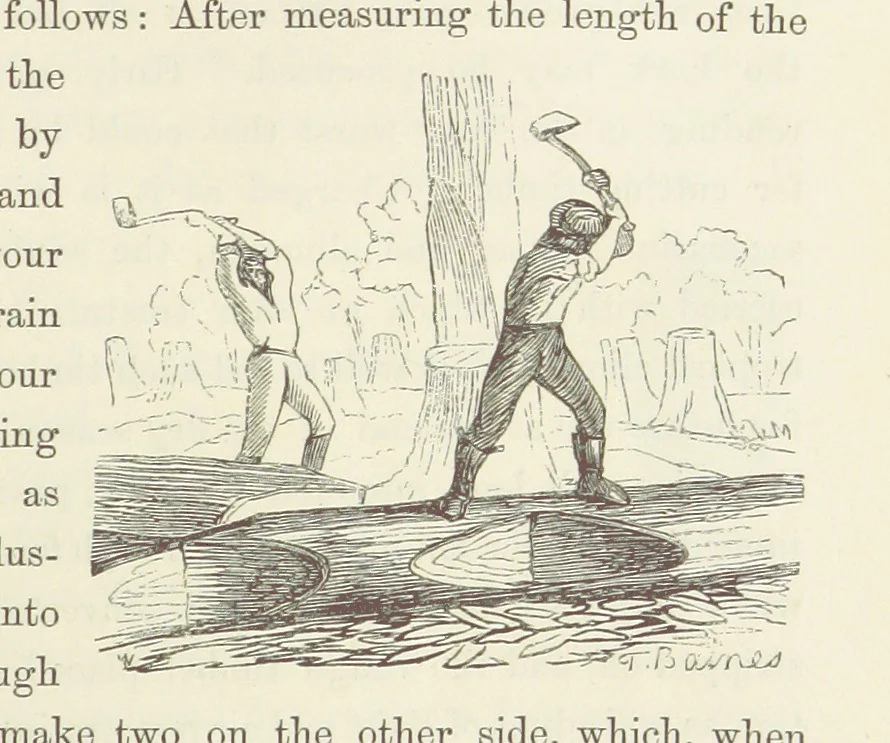 An illustration from Shifts and Expedients of Camp Life, Travels, etc, 1871, leaf 295